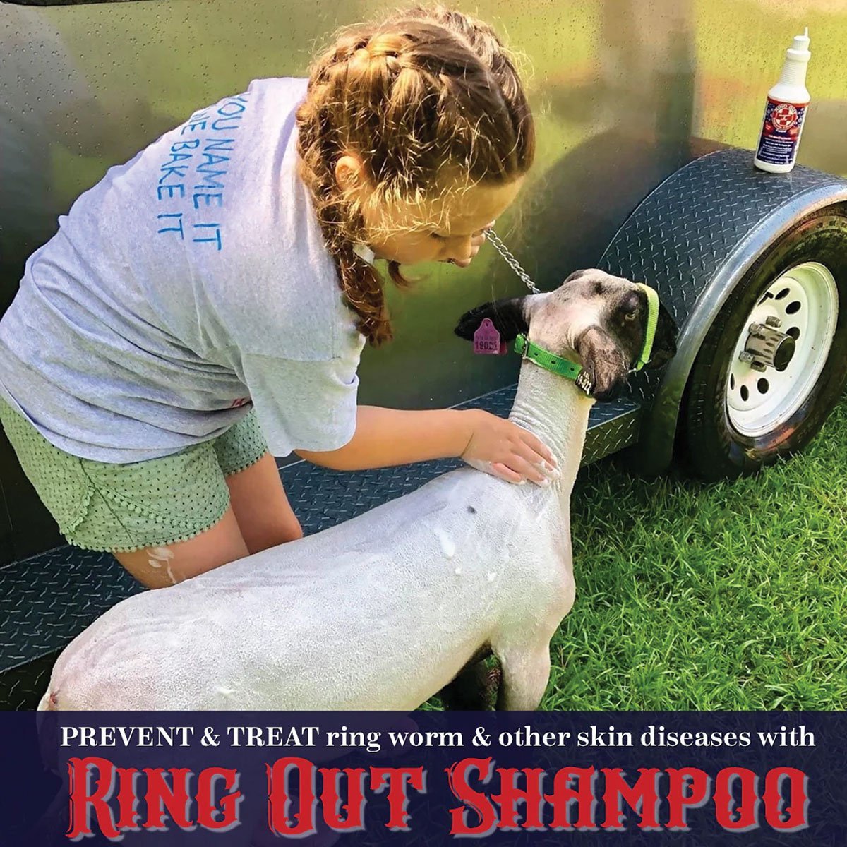 Ring Out Shampoo & Soap - Quart - QC Supply -