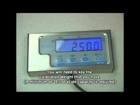 Salter Brecknell PS1000 Floor Scale with Indicator - QC Supply -