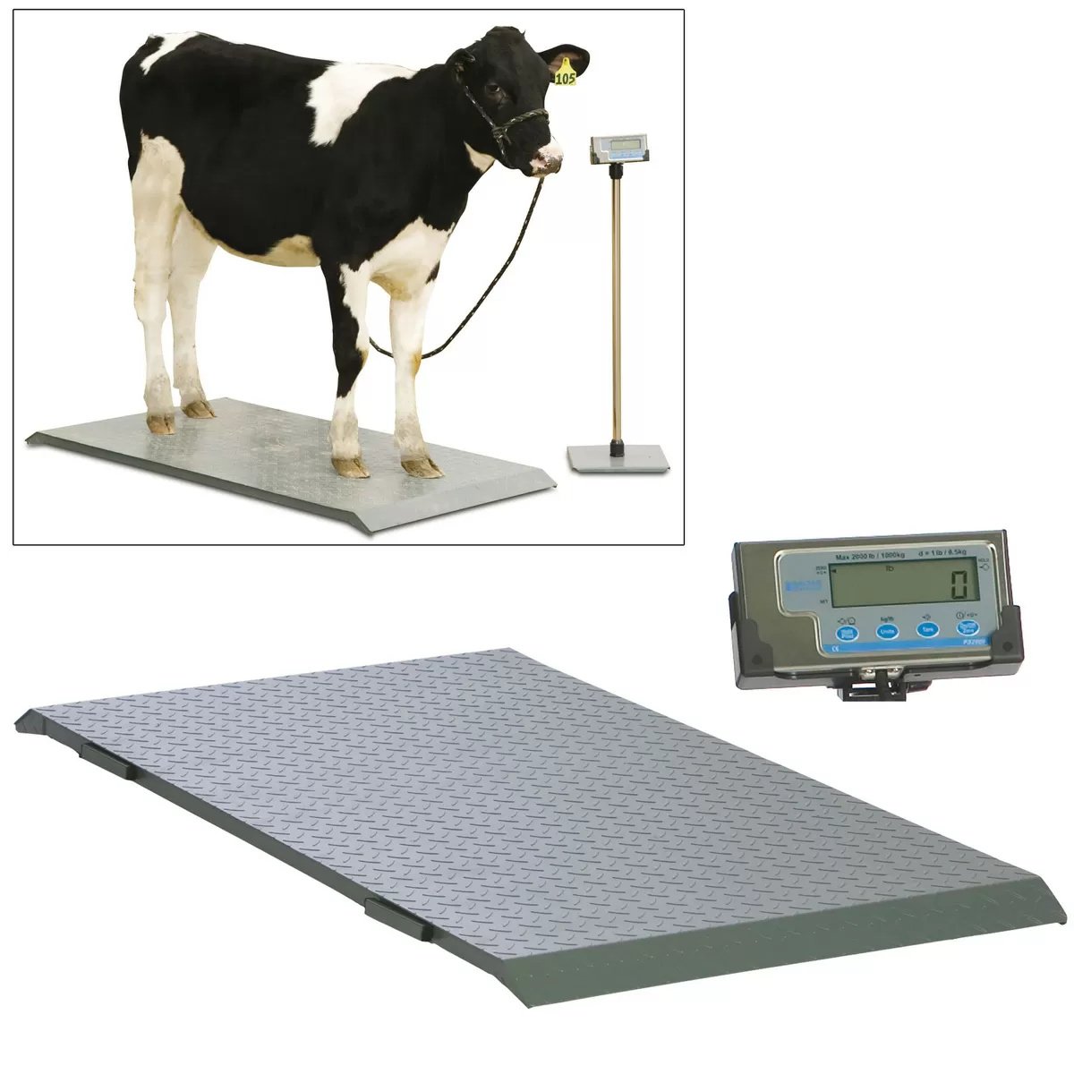 Salter Brecknell PS2000 Floor Scale with Indicator - QC Supply -