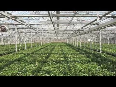 Sensaphone® Alarm Monitor - Model 400 - QC Supply -