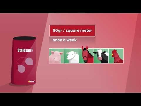 Stalosan® F Dry Disinfectant - 33 lb Bag - QC Supply -