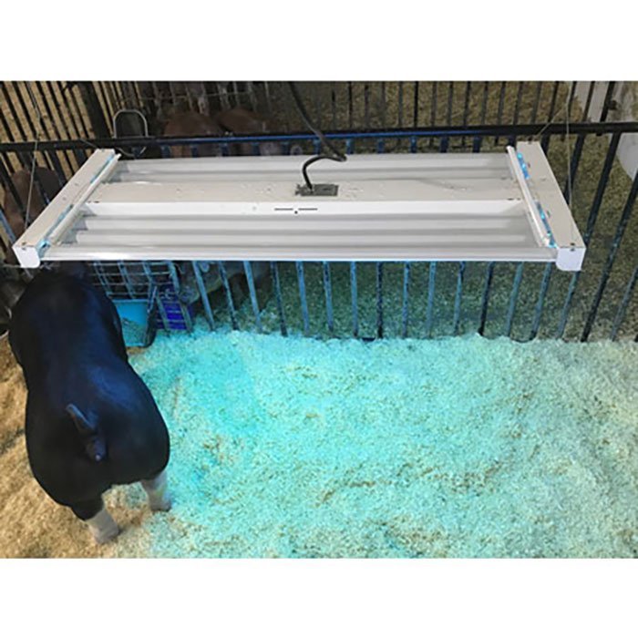 Sullivan Supply® Insta - Tan Hog Tanning Lights - QC Supply -