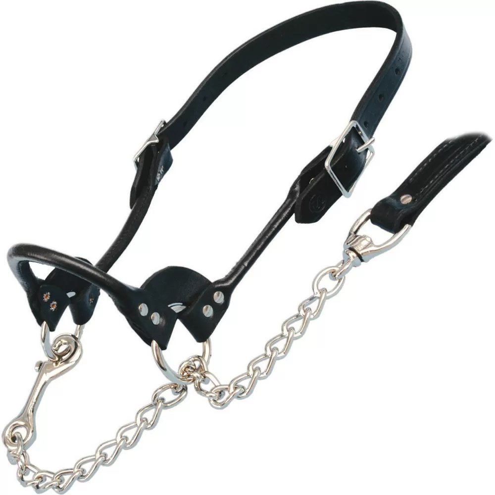 Sullivan's Classic Leather Rolled Nose Show Halter™ - QC Supply -