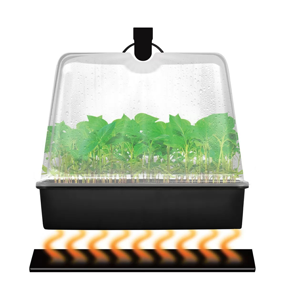 Super Sprouter® Premium Heated Propagation Kit w/Dome & T5 Light - QC Supply -