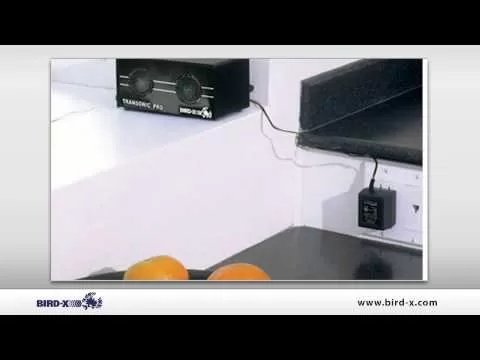 Transonic Pro - QC Supply -