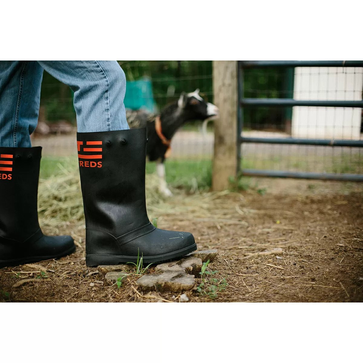 TREDS - 17" Overboot - QC Supply -