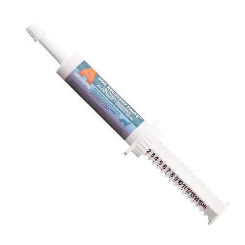 Vitalize® Dog Recovery Paste - 15 mL Tube - QC Supply -