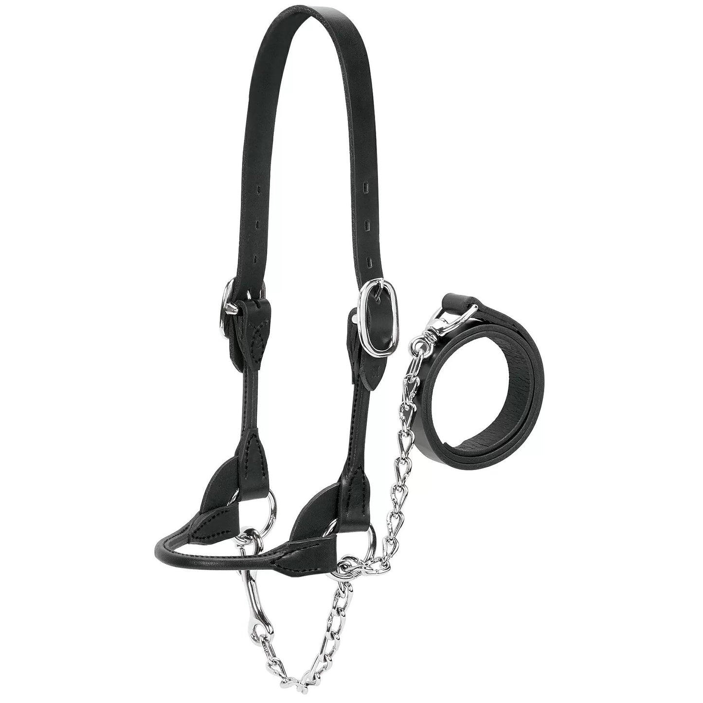 Weaver Leather® Dairy/Beef Rounded Show Halter - Black - QC Supply -