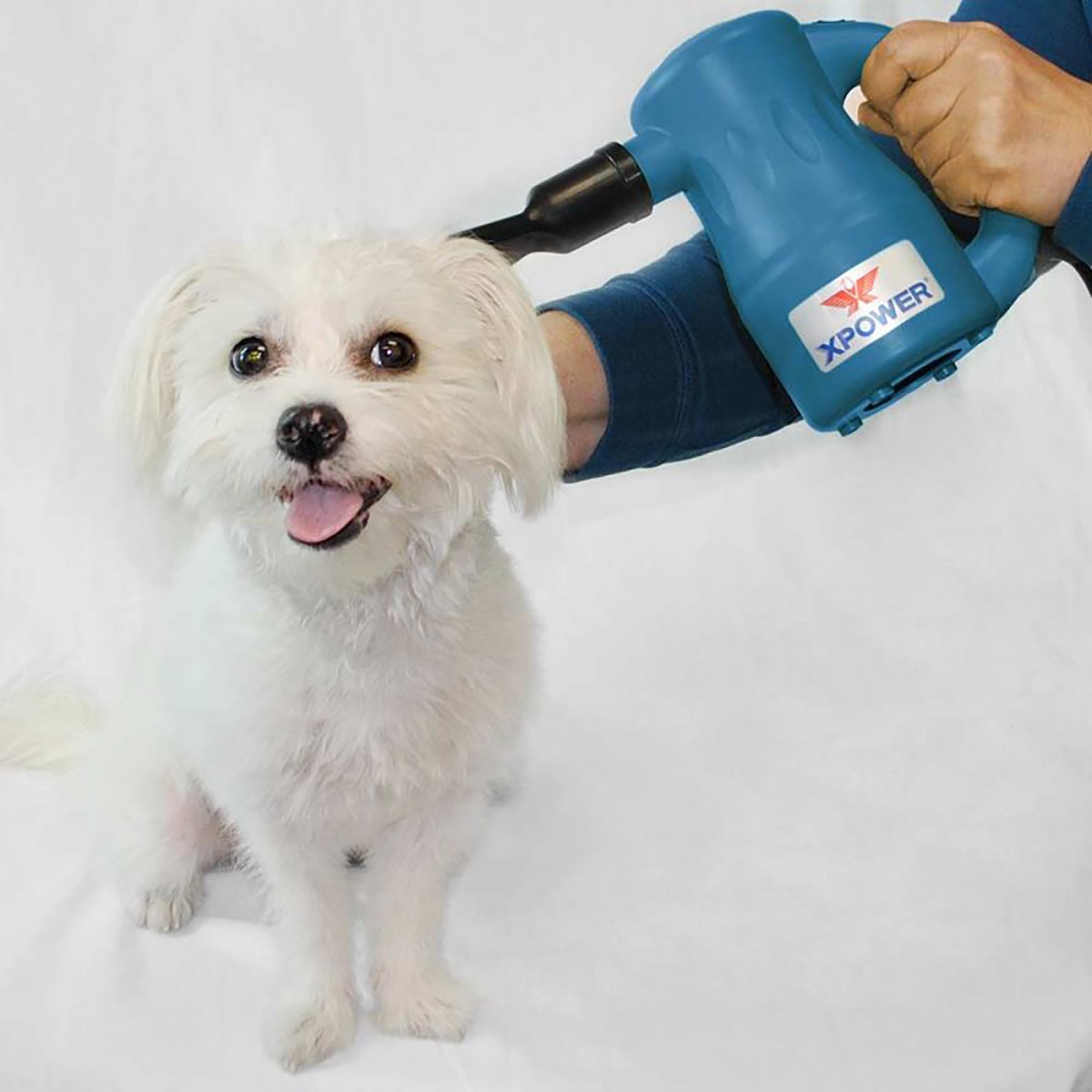 XPOWER A - 2 Airrow Pro Multi - Use Powered Air Duster, Black - QC Supply -