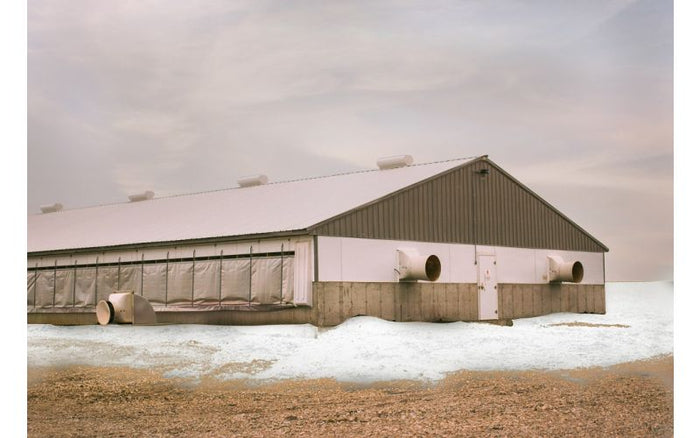 A barn with fans outside