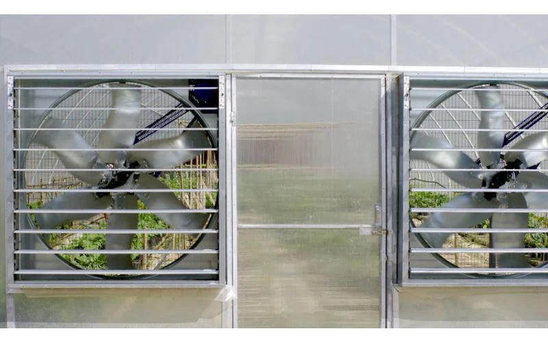 Maximize Airflow: A Comprehensive Guide to Fan Maintenance - QC Supply