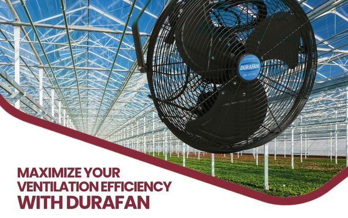 Maximize Your Ventilation Efficiency with DuraFan - QC Supply