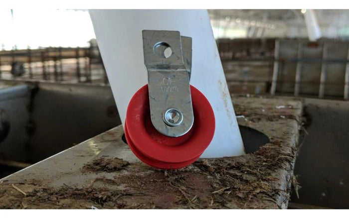 Raising the Bar in Poultry Farming: Discover Beesley International - QC Supply