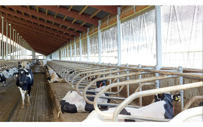 Southwestern Sales Livestock Curtains: A Game Changer for Your Farm - QC Supply