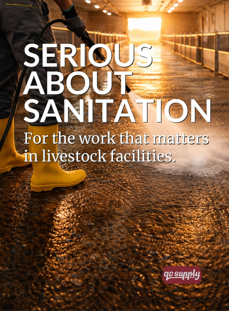 Worker pressure washing a livestock barn floor during sanitation process