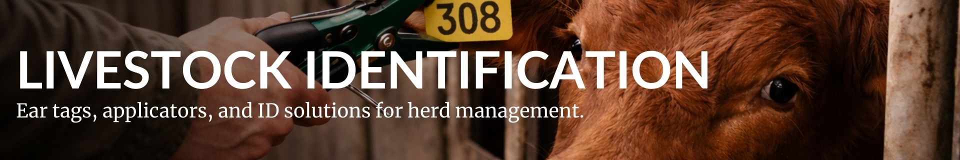 Ear Tags & Marking Supplies