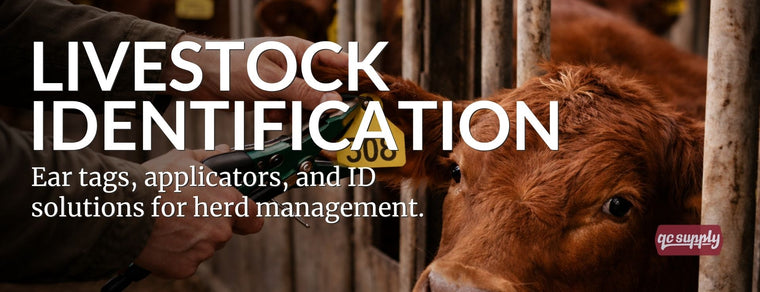 Livestock identification using numbered ear tags for cattle herd management