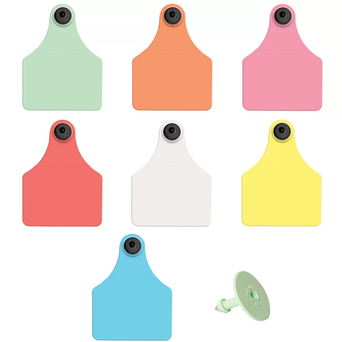 Allflex® Global Large Tamperproof™ Beef & Dairy Ear Tag - 25/Bag - QC Supply - 