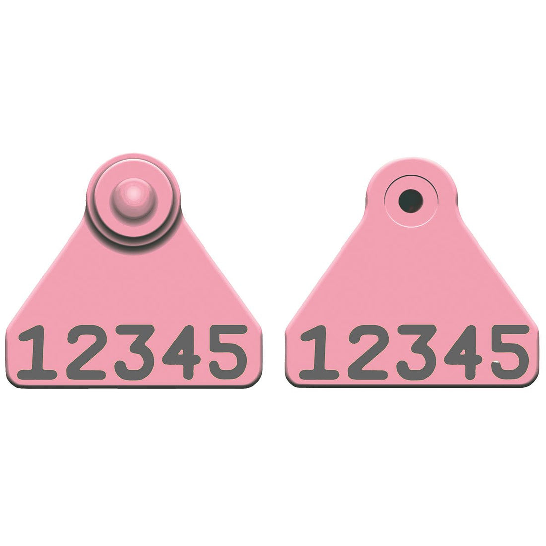 Allflex® Sheep Mini Tags 1 Line of Custom Numbers - Bag of 25 – QC Supply