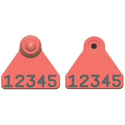 Allflex® Sheep Mini Tags 2 Lines of Custom Numbers - QC Supply - 