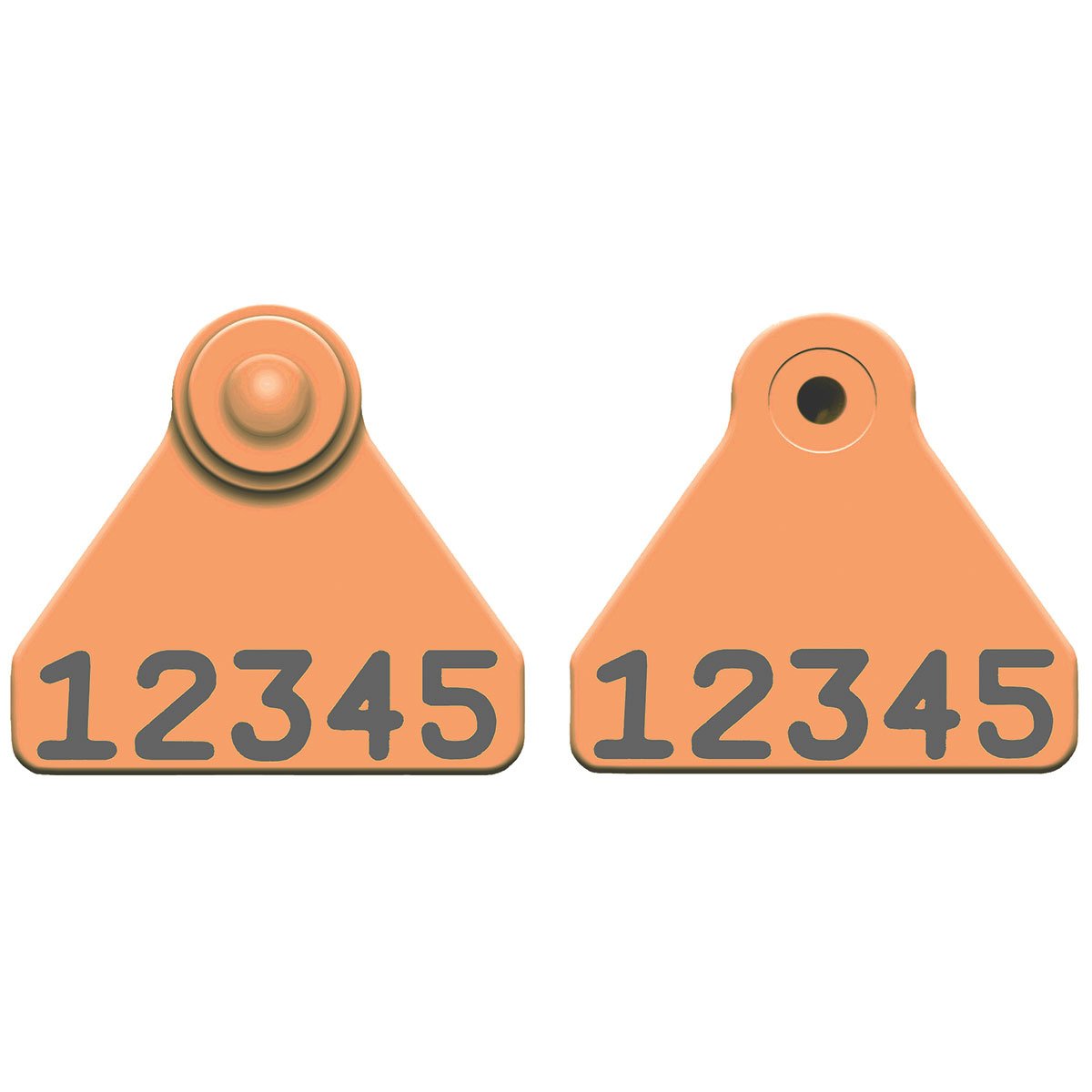 Allflex® Sheep Mini Tags 2 Lines of Custom Numbers - QC Supply - 