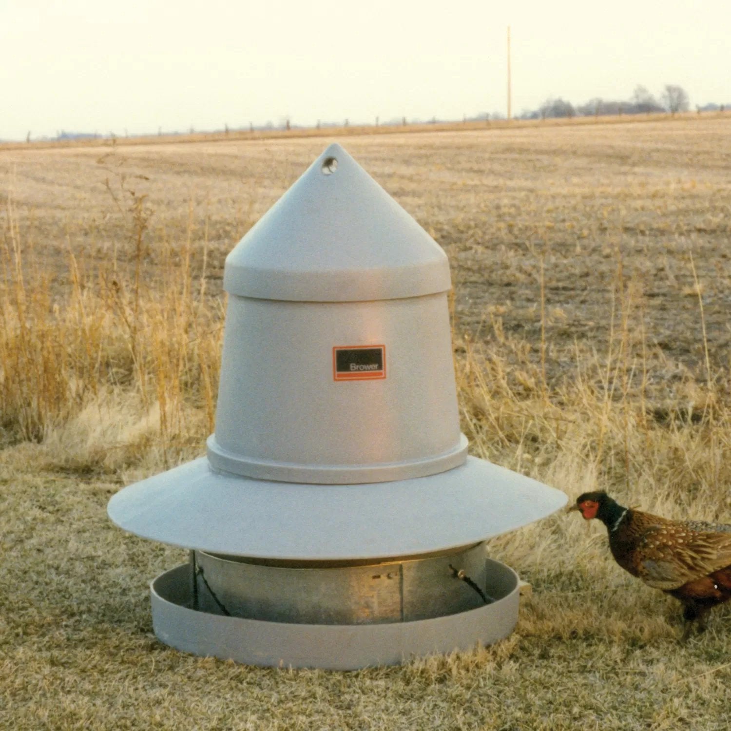Brower® Game Bird Feeder - 125 Pheasants - 2/Pack - QC Supply - 