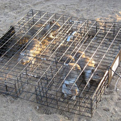 CATCH MOR Squirrelinator Multi - Catch Rat Trap - QC Supply - 
