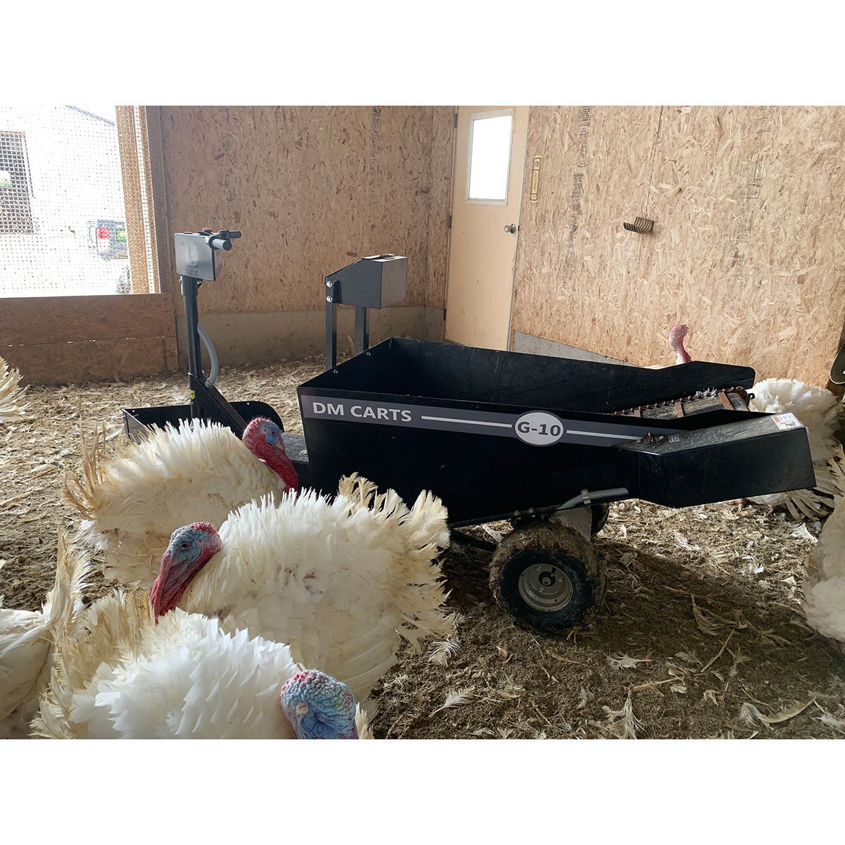 DM Carts G - 10 Conveyor Cart - QC Supply - 