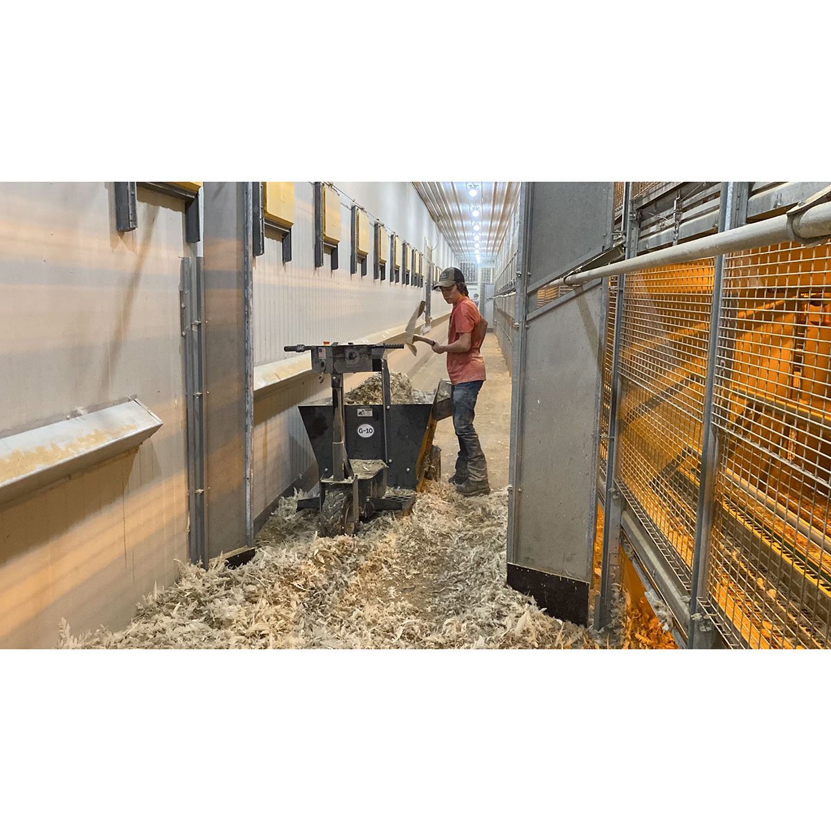 DM Carts G - 10 Conveyor Cart - QC Supply - 