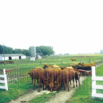 DriveThru Electric Gate - QC Supply - 