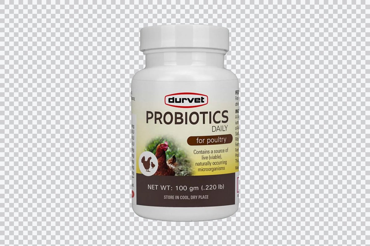 Durvet Probiotics Daily for Poultry - 100 Gm. - QC Supply - 
