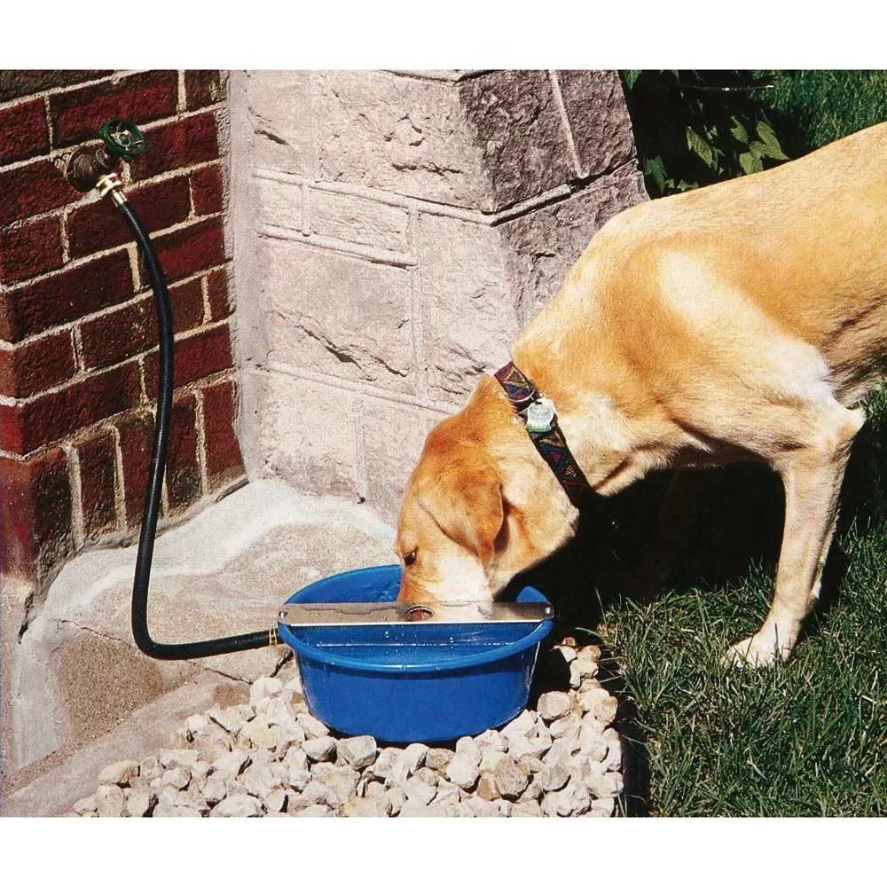 Ever Full Bowl™ - 5 Qt. - QC Supply -