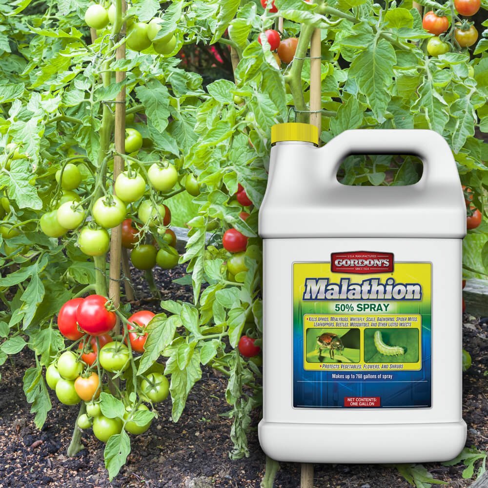 Gordon's® Malathion 50% Spray - 1 gal. - QC Supply - 
