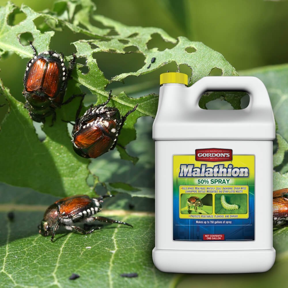 Gordon's® Malathion 50% Spray - 1 gal. - QC Supply - 