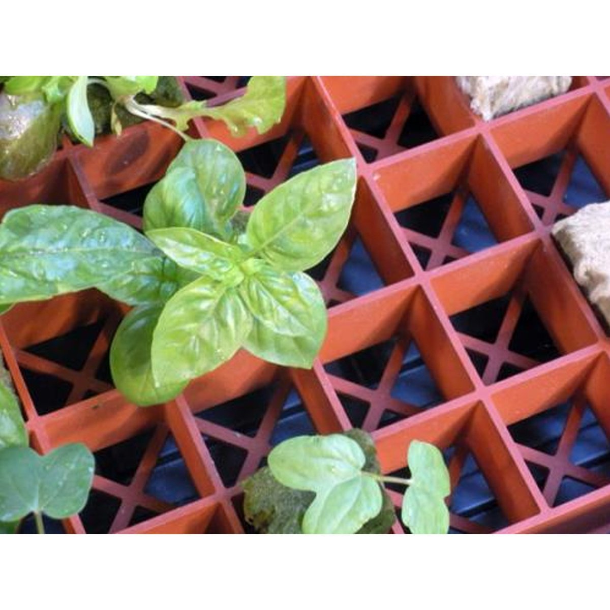 Grodan® Gro - Smart™ Tray Insert - QC Supply - 
