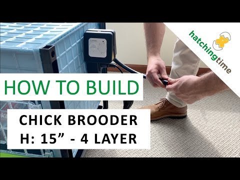Hatchingtime Chick Brooder for Poultry 4 Layer - QC Supply - 