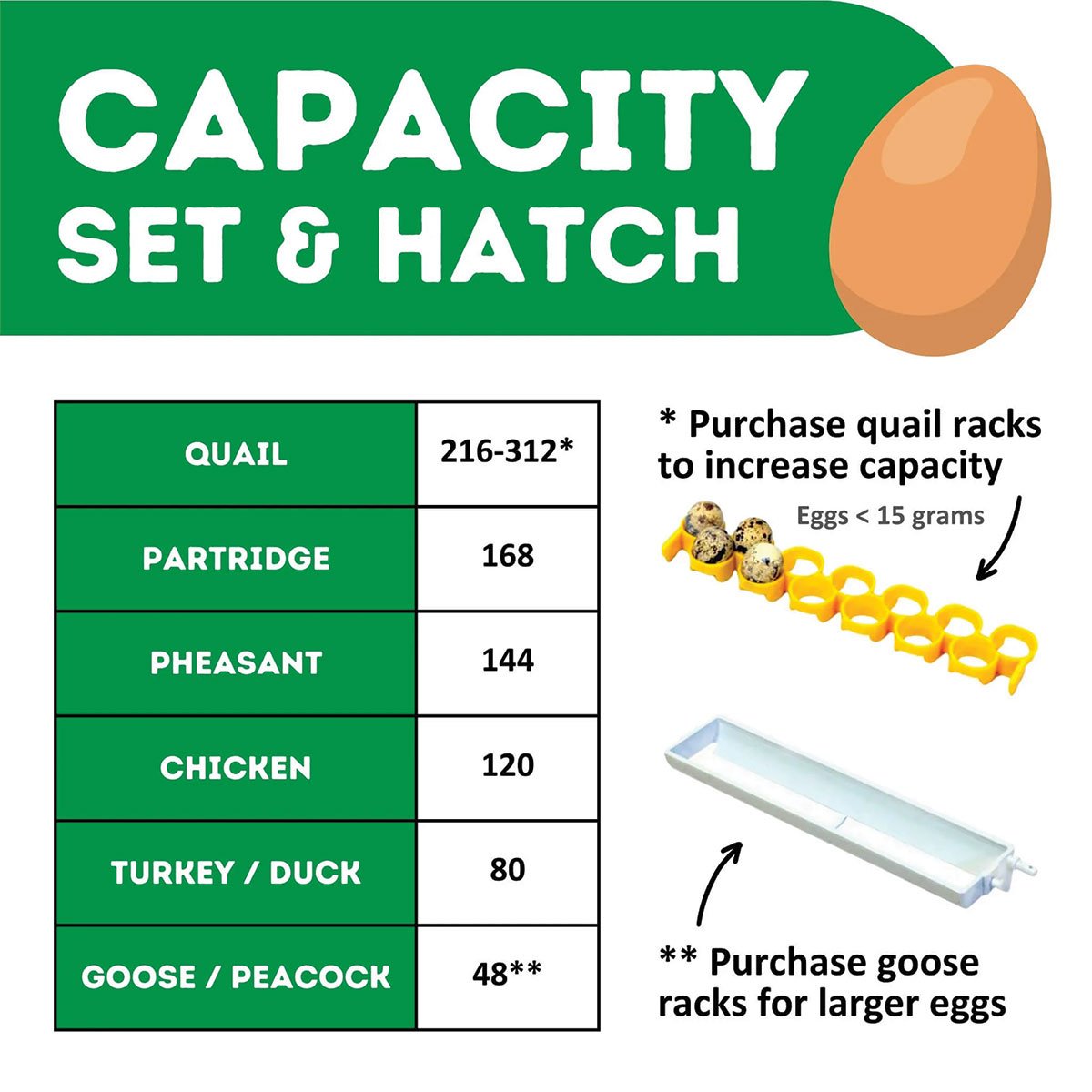 Hatchingtime Egg Incubator - 120 Eggs - QC Supply - 