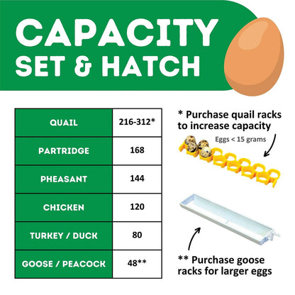 Hatchingtime Egg Incubator - 120 Eggs - QC Supply - 