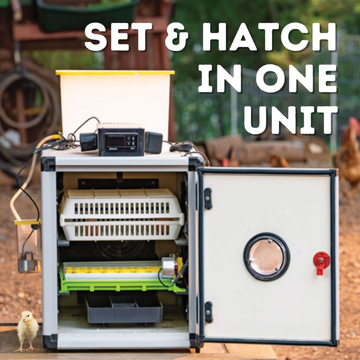 Hatchingtime Egg Incubator - 60 Eggs - QC Supply - 