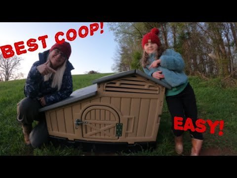 Hatchingtime Standard Chicken Coop - 4 Birds - QC Supply - 