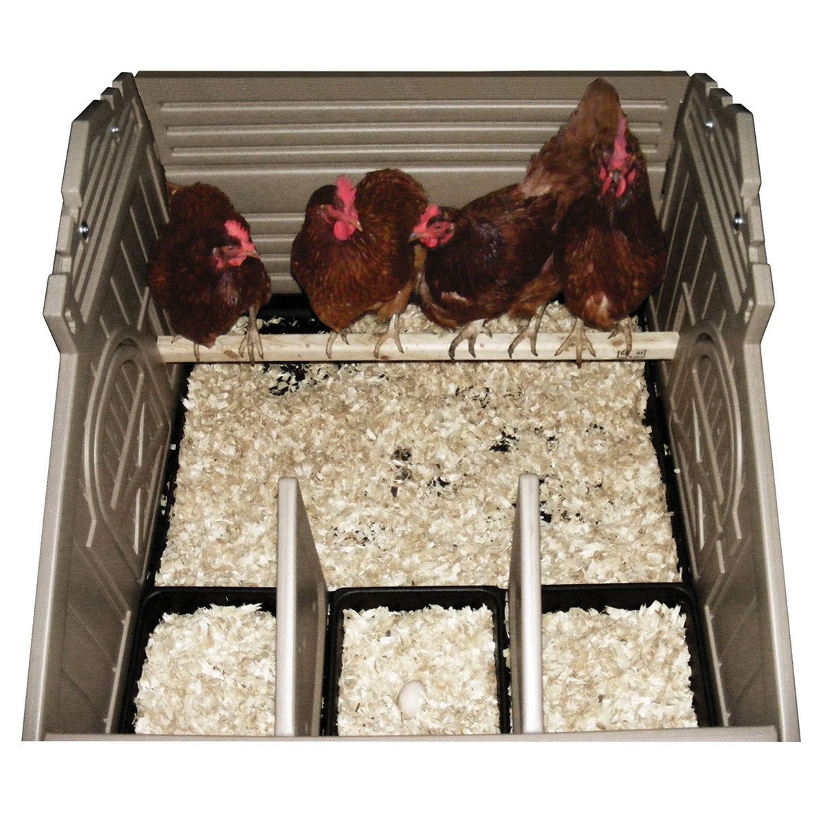 Hatchingtime Standard Chicken Coop - 4 Birds - QC Supply - 