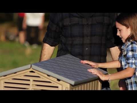 Hatchingtime Standard Chicken Coop - 4 Birds - QC Supply - 