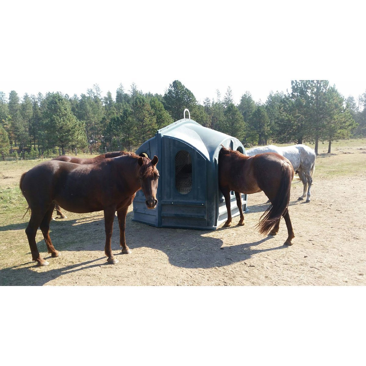 Hay Hut Hay Nets - QC Supply - 