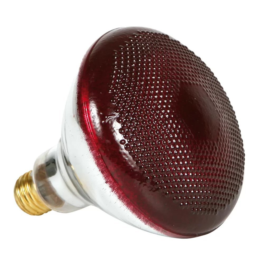 Infrared Heavy - Duty Hard Glass Heat Bulbs - 175 Watt - Red Glass - QC Supply - 