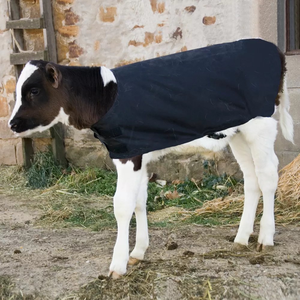 Insulated Calf Coat - Small Breed - QC Supply - 