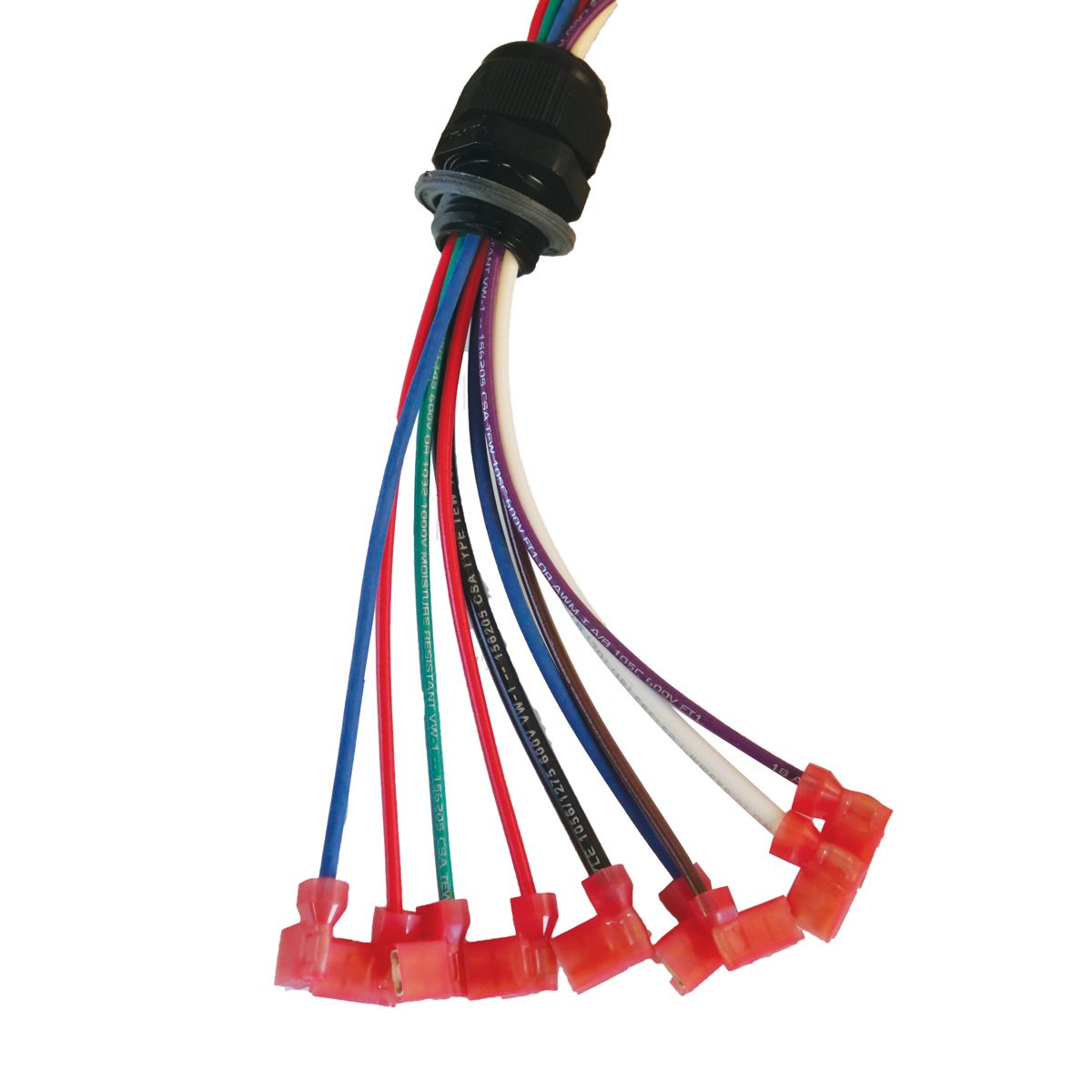 LB ® Wiring Harness - QC Supply - 