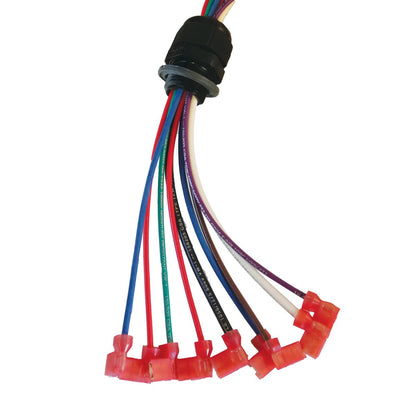 LB ® Wiring Harness - QC Supply - 