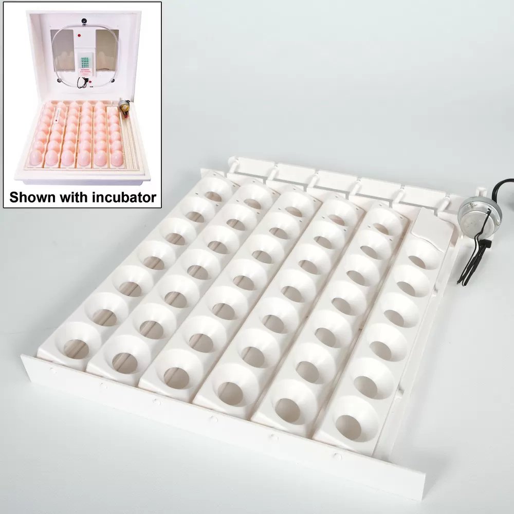 Little Giant® Automatic Egg Turner - QC Supply - 