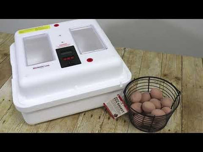 Little Giant Deluxe Incubator with Egg Turner - QC Supply - 