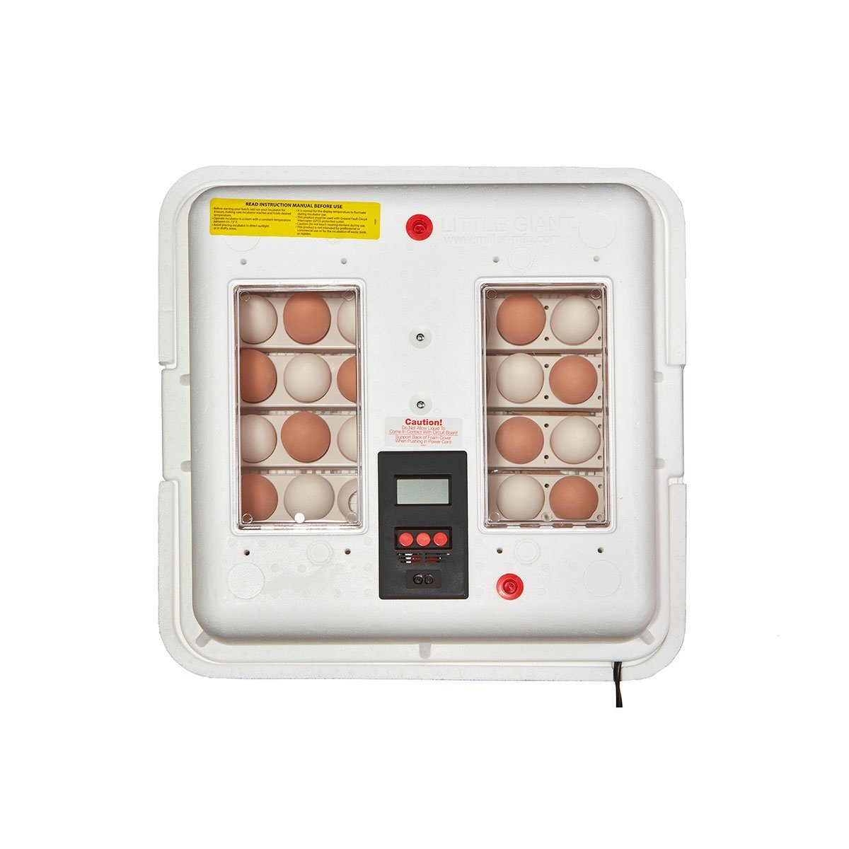 Little Giant Deluxe Incubator with Egg Turner - QC Supply - 